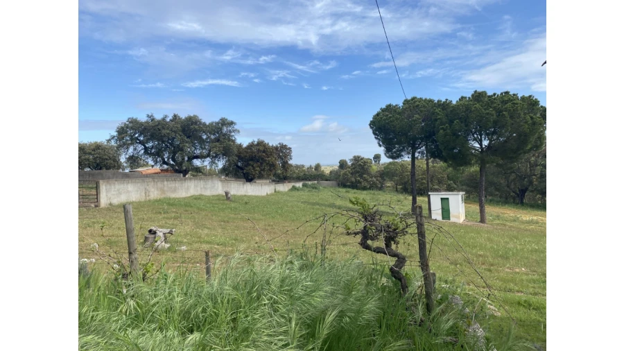 Quinta T5 para Venda em São Bento do Cortiço e Santo Estêvão Foto 29