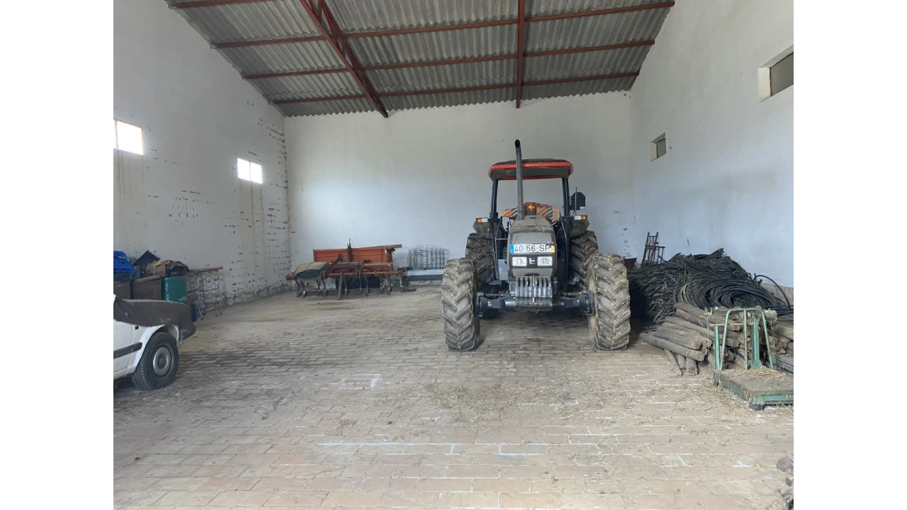 Quinta T5 para Venda em Sousel Foto 17