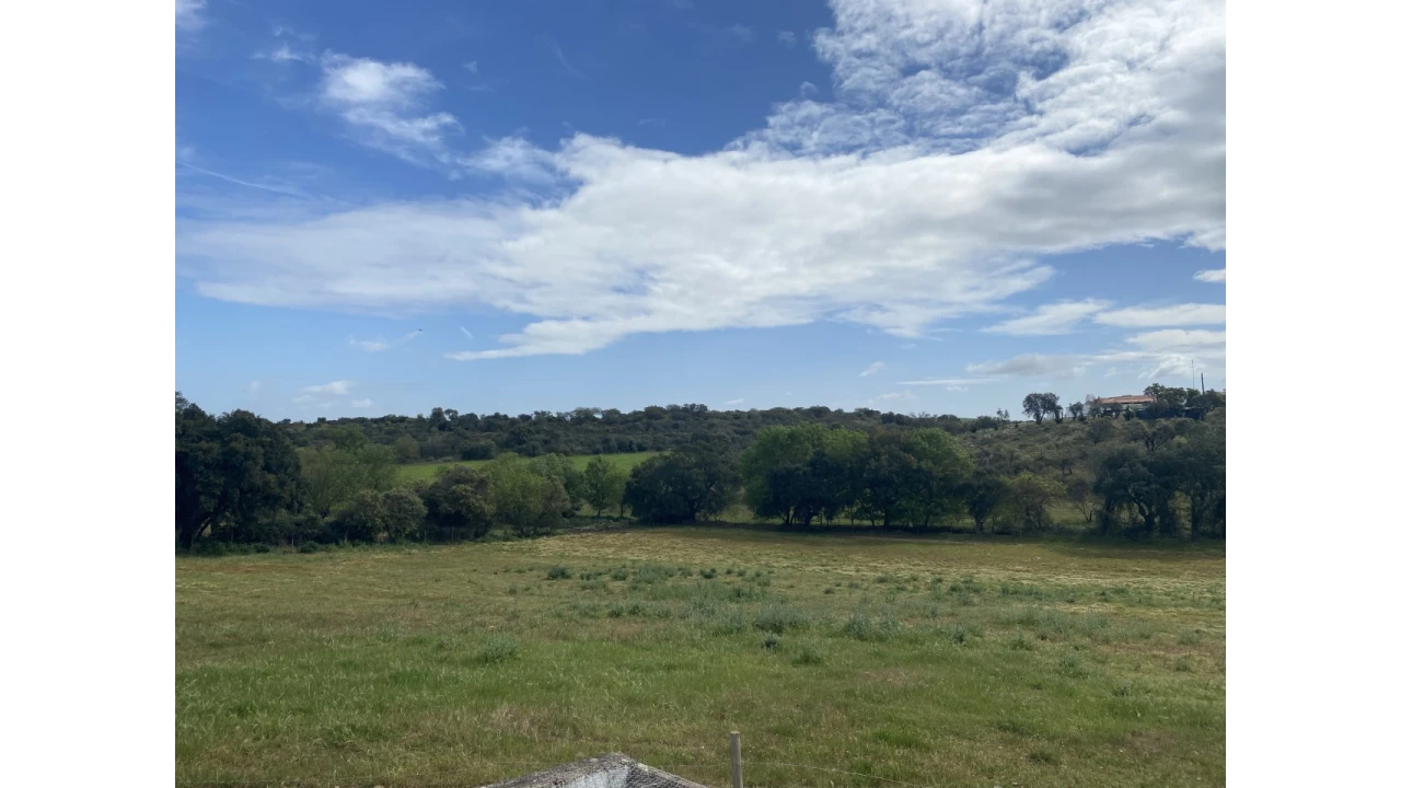 Quinta T5 para Venda em Sousel Foto 28