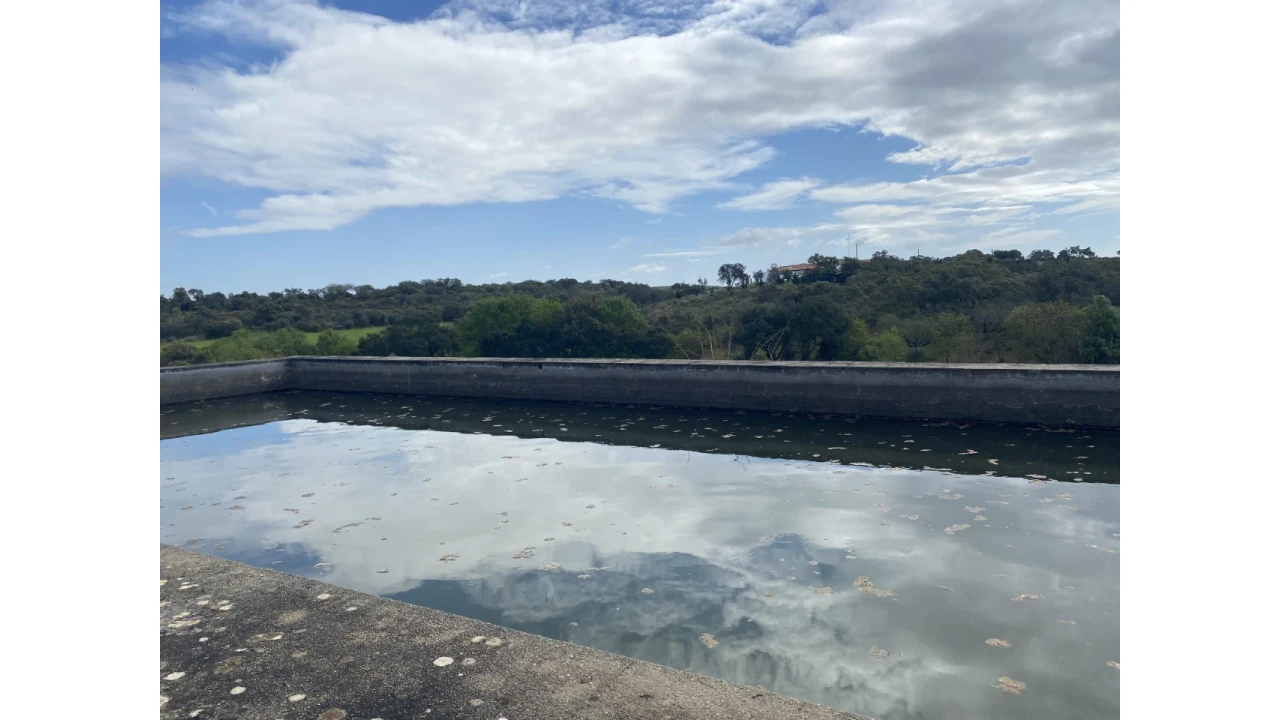 Quinta T5 para Venda em Sousel Foto 29