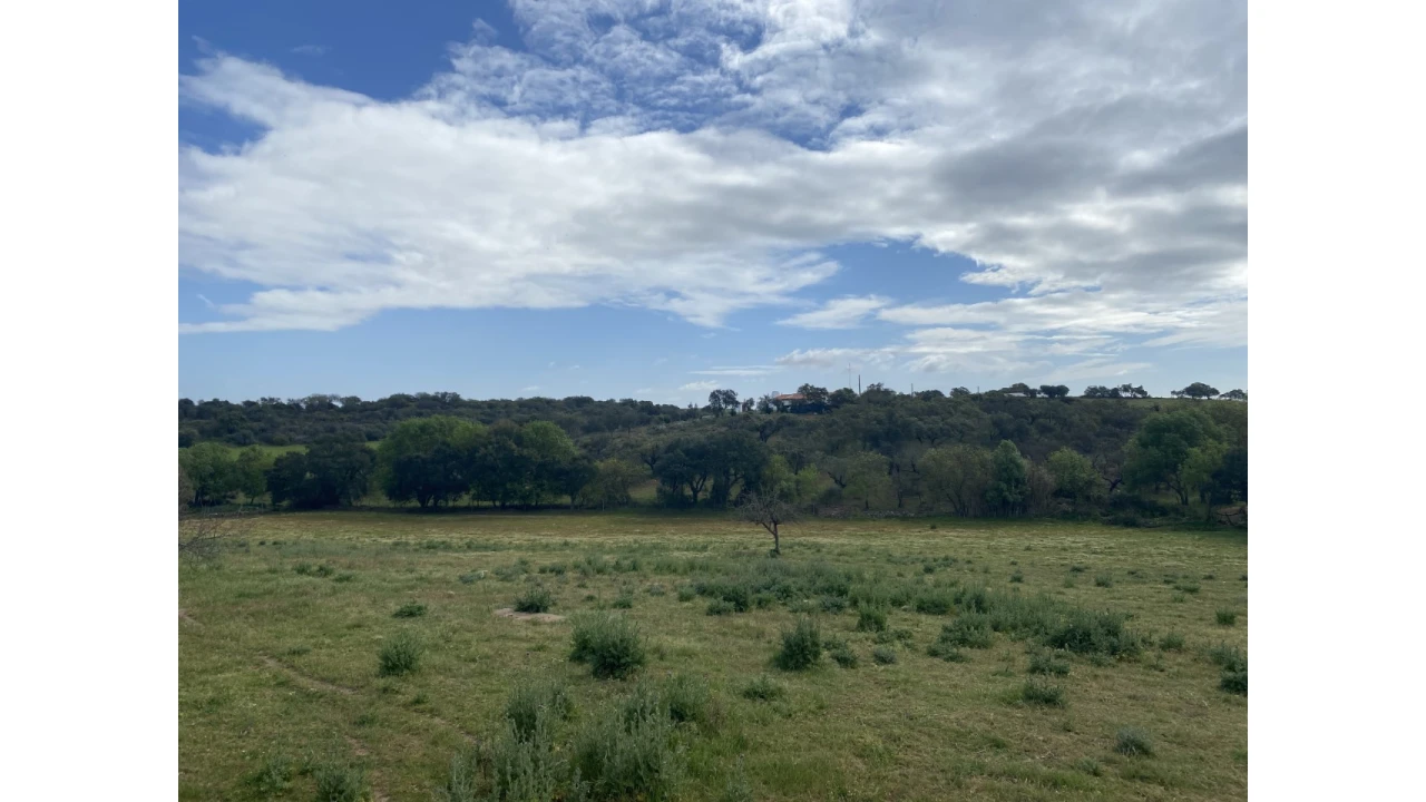 Quinta T5 para Venda em Sousel Foto 30