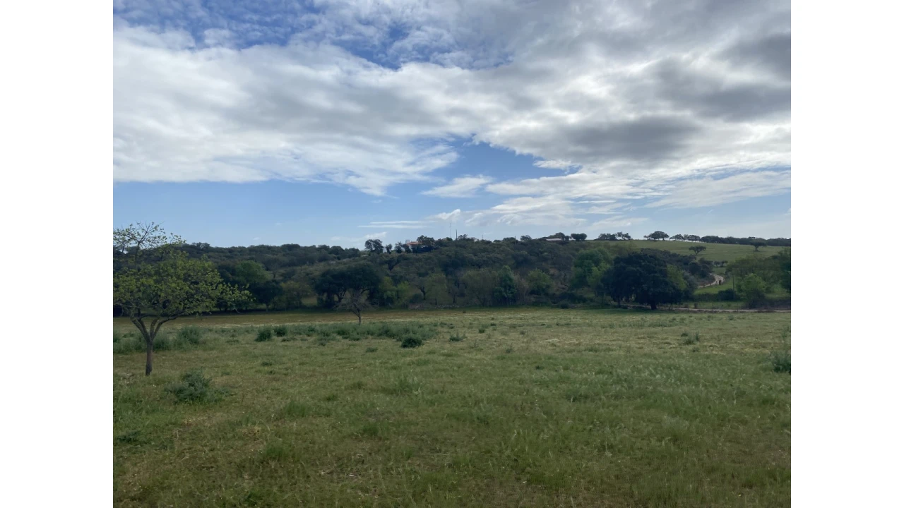 Quinta T5 para Venda em Sousel Foto 36