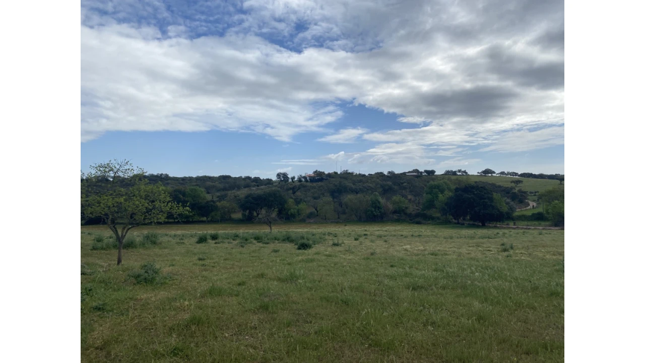 Quinta T5 para Venda em Sousel Foto 37