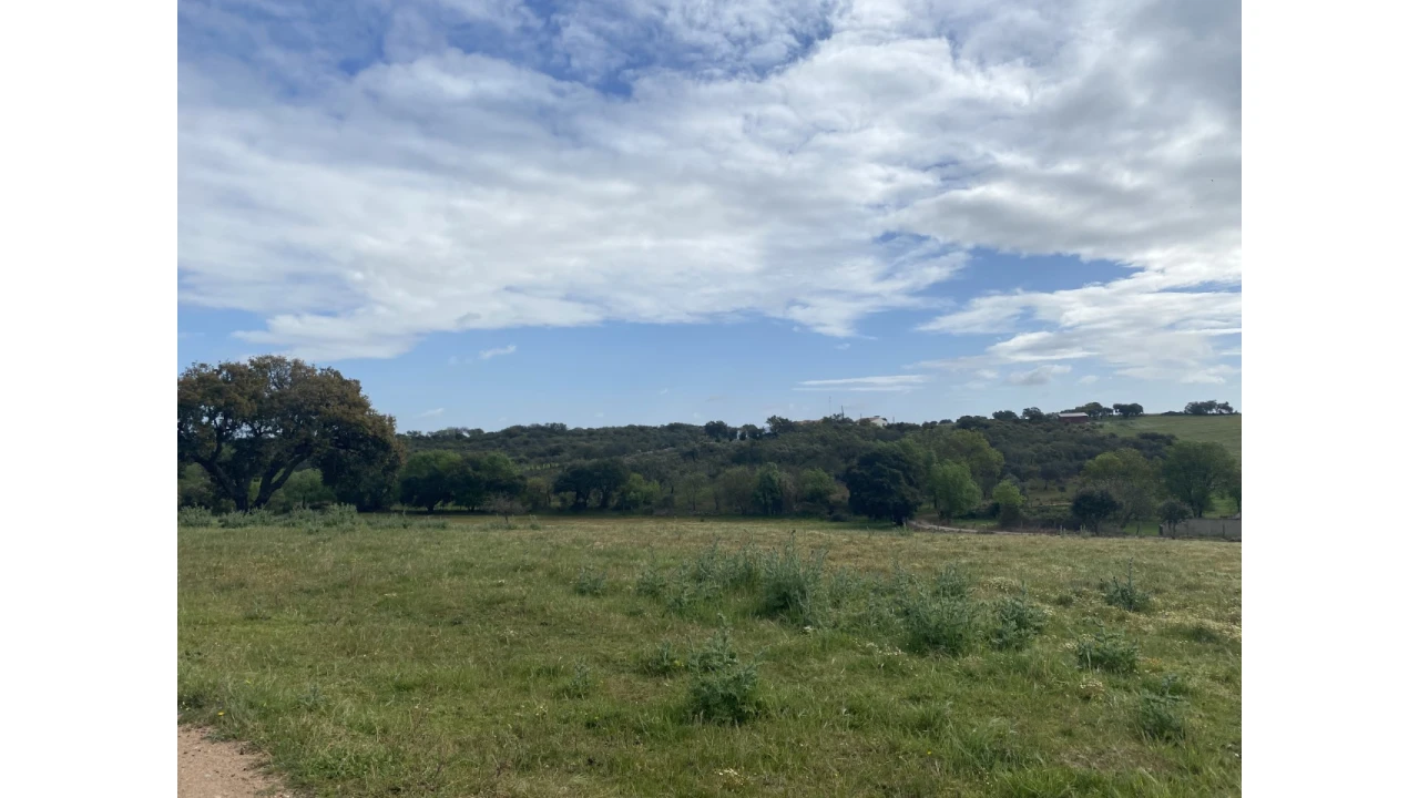 Quinta T5 para Venda em Sousel Foto 40