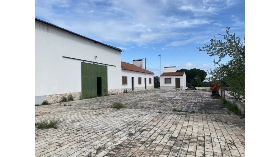 Quinta T5 para Venda em Sousel Foto 2