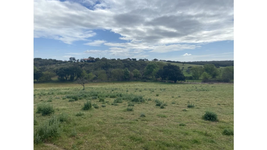 Quinta T5 para Venda em Sousel Foto 31