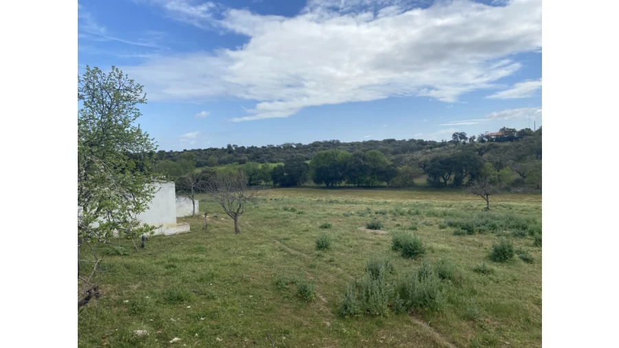 Quinta T5 para Venda em Sousel Foto 32