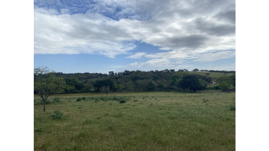 Quinta T5 para Venda em Sousel Foto 36