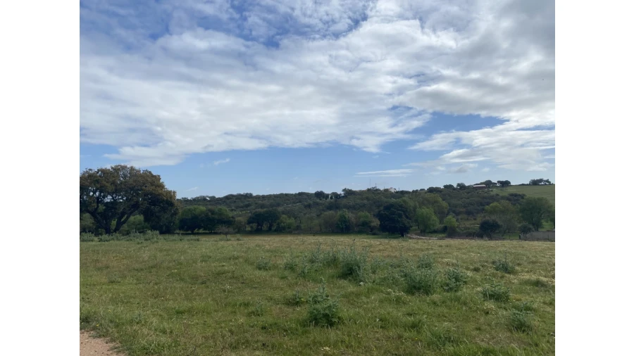 Quinta T5 para Venda em Sousel Foto 42