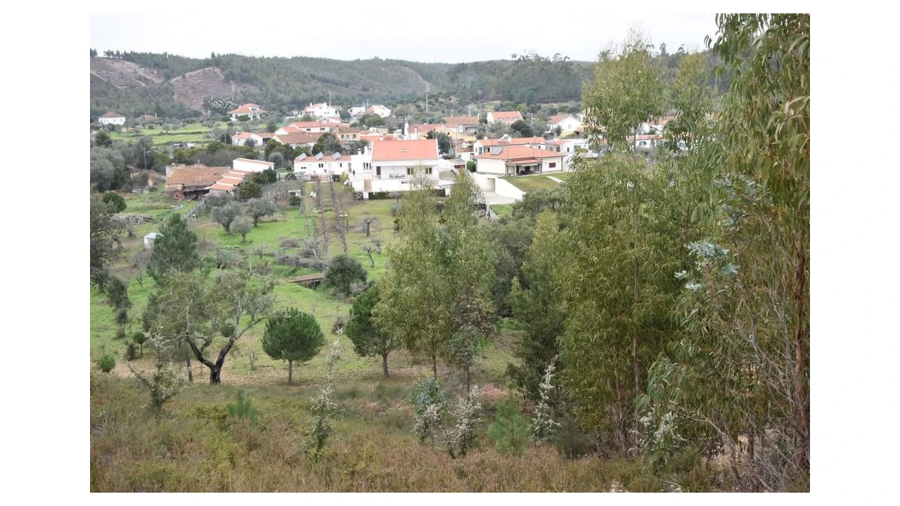 Quinta T5 para Venda em Abrantes (São Vicente e São João) e Alferrarede Foto 39