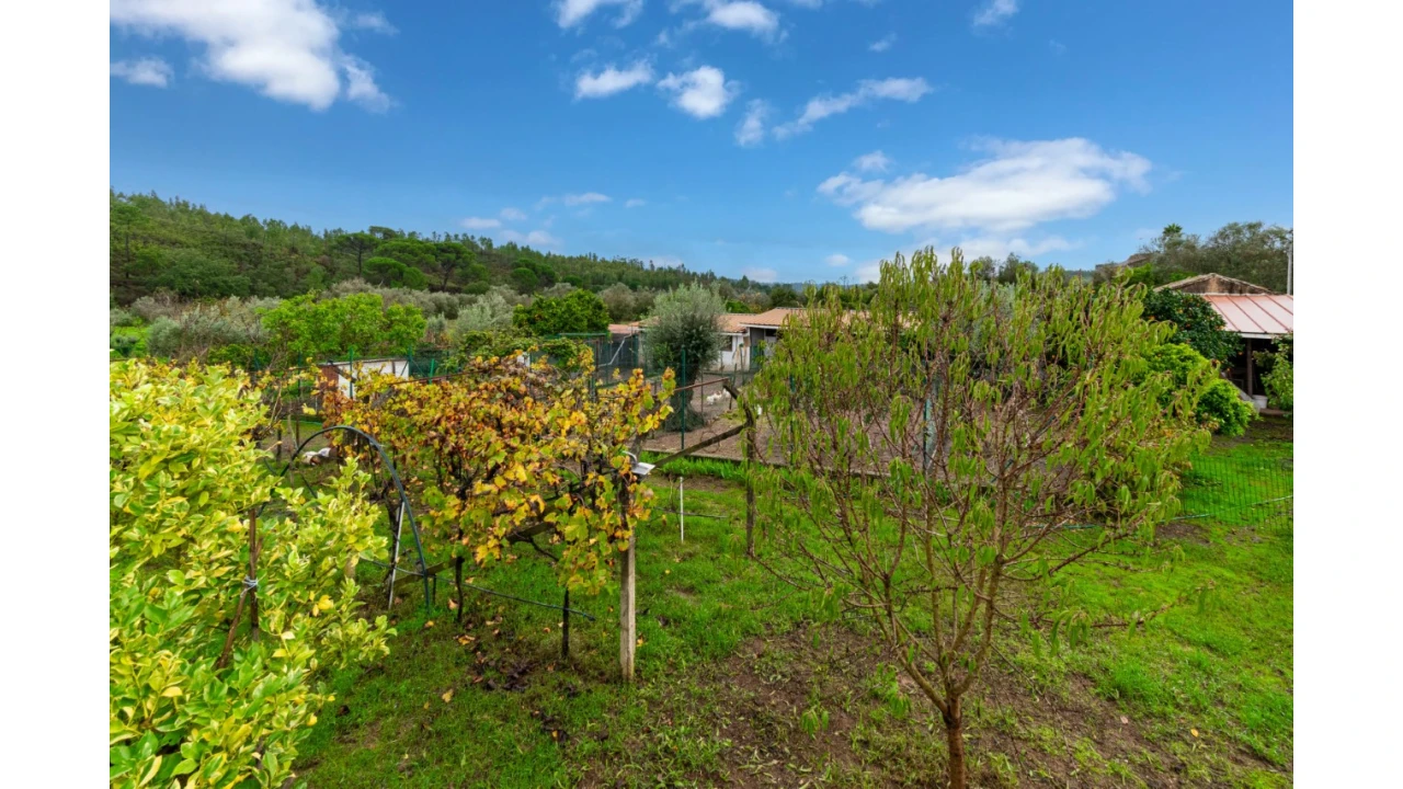 Quinta T5 para Venda em Abrantes (São Vicente e São João) e Alferrarede Foto 35
