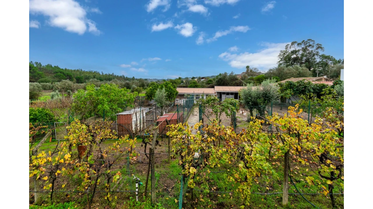 Quinta T5 para Venda em Abrantes (São Vicente e São João) e Alferrarede Foto 38