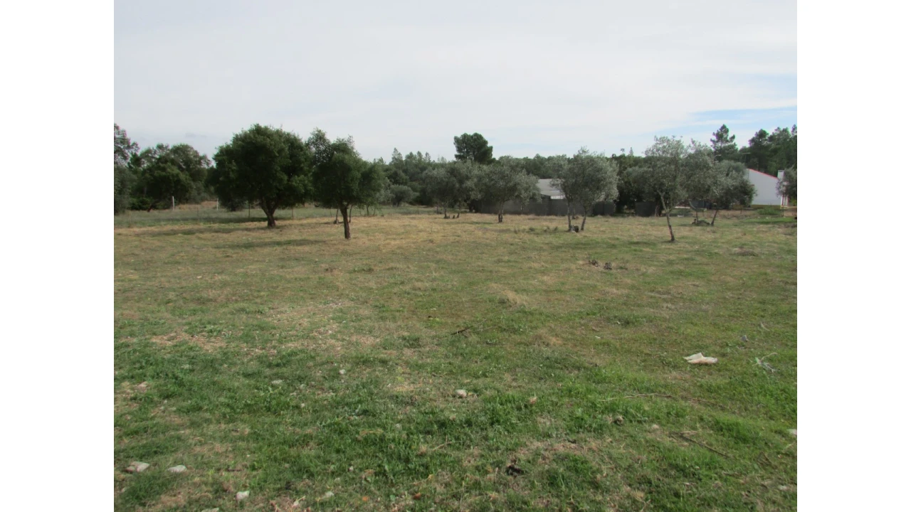 Terreno para Venda em Pego Foto 1