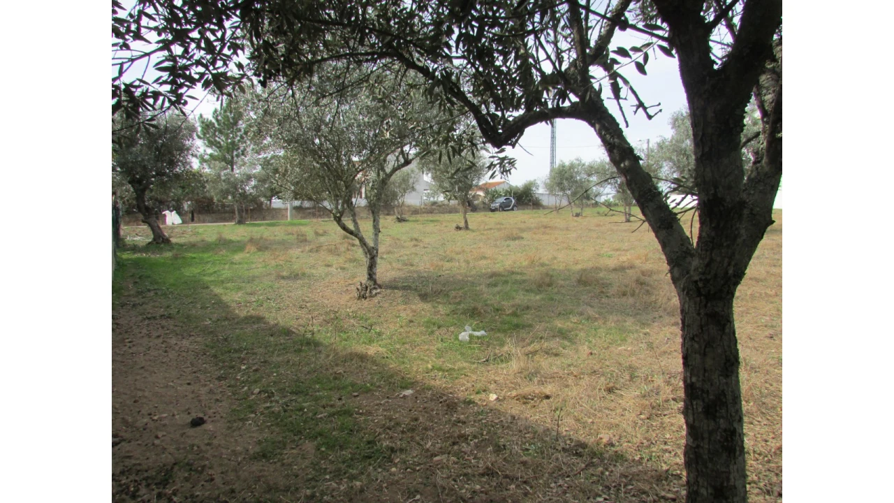Terreno para Venda em Pego Foto 6