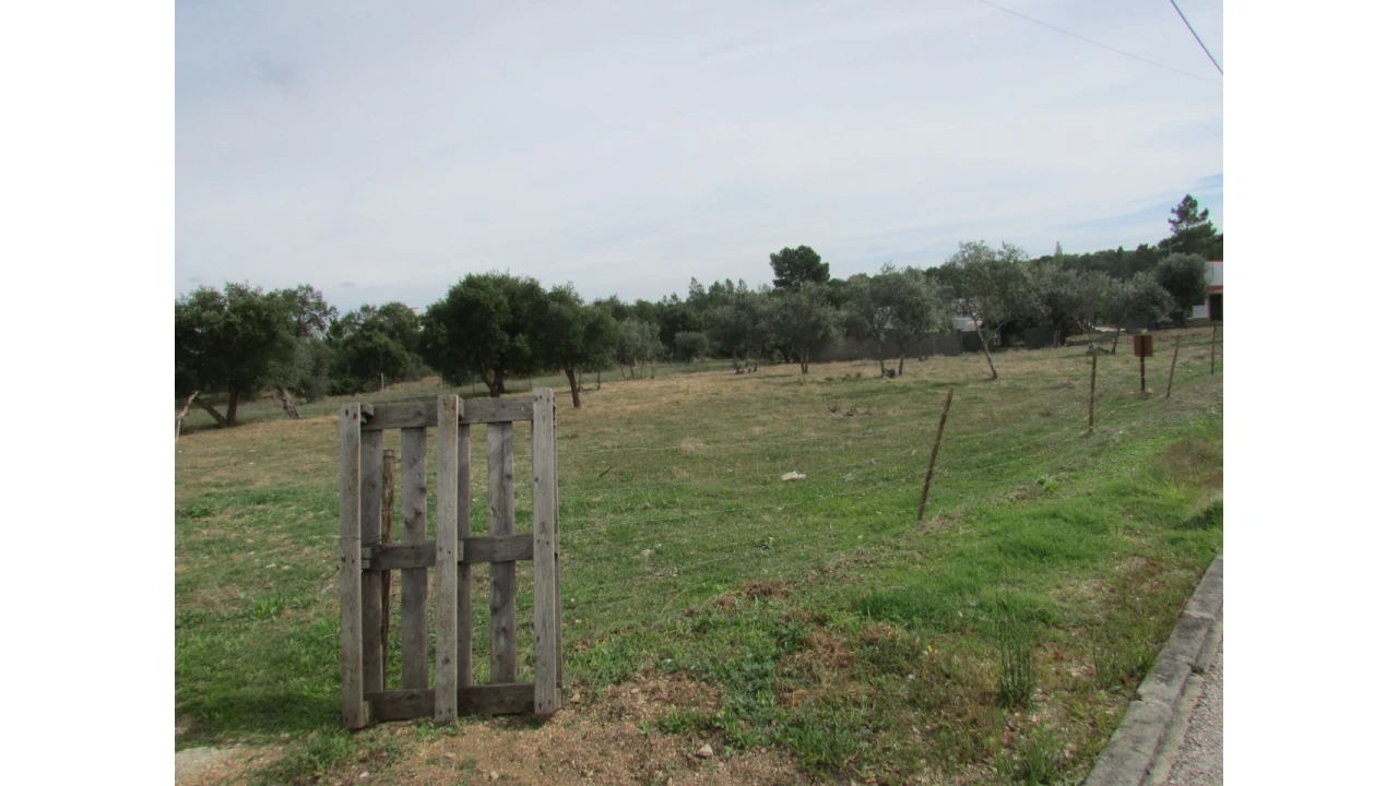 Terreno para Venda em Pego Foto 10