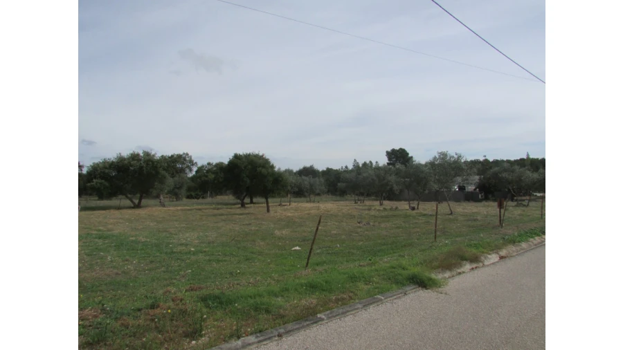 Terreno para Venda em Pego Foto 2