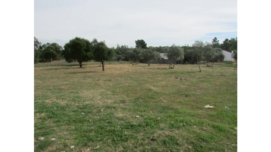 Terreno para Venda em Pego Foto 1