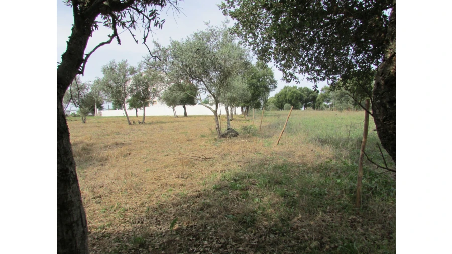 Terreno para Venda em Pego Foto 5