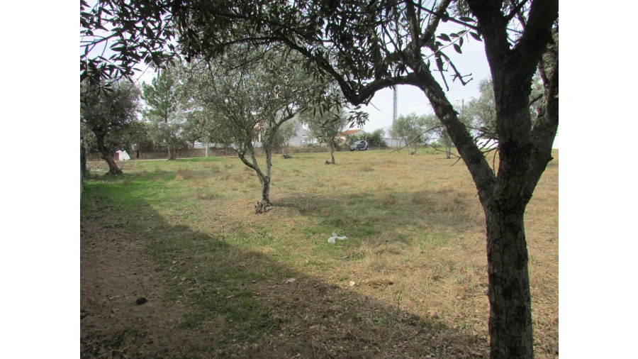 Terreno para Venda em Pego Foto 6