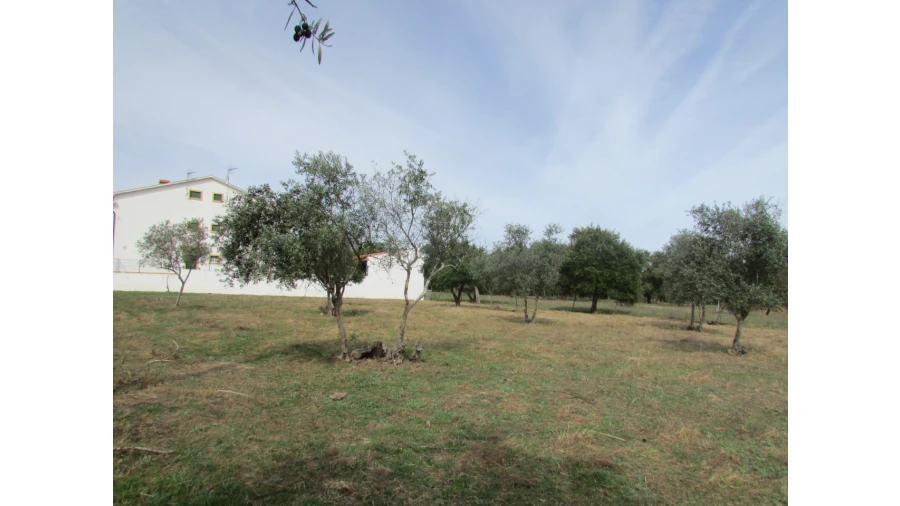 Terreno para Venda em Pego Foto 8