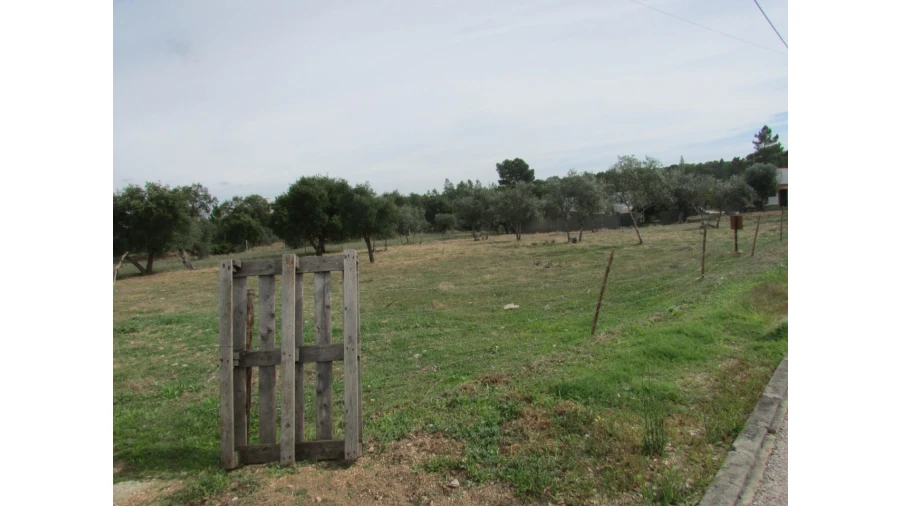 Terreno para Venda em Pego Foto 10