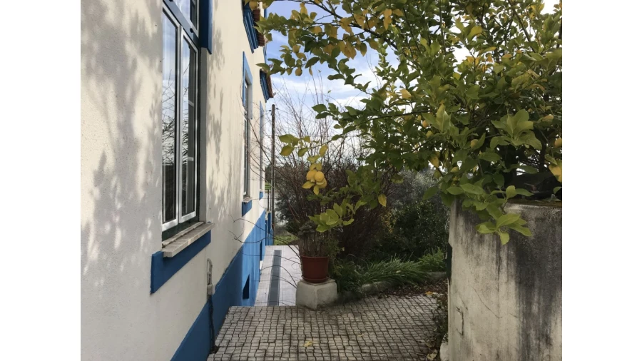 Moradia T7 para Venda em Mouriscas Foto 33