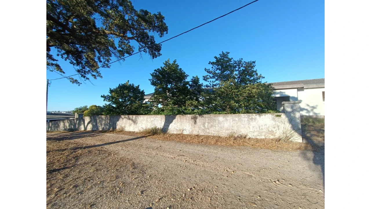Prédio para Venda em São Miguel do Rio Torto e Rossio Ao Sul do Tejo Foto 4