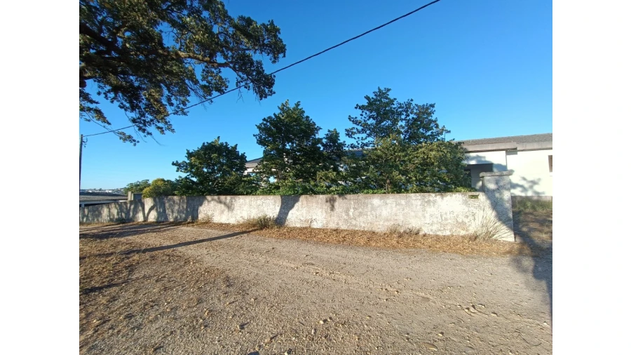 Prédio para Venda em São Miguel do Rio Torto e Rossio Ao Sul do Tejo Foto 4