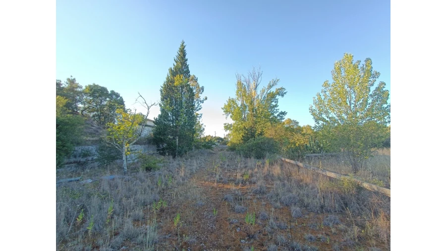 Prédio para Venda em São Miguel do Rio Torto e Rossio Ao Sul do Tejo Foto 13