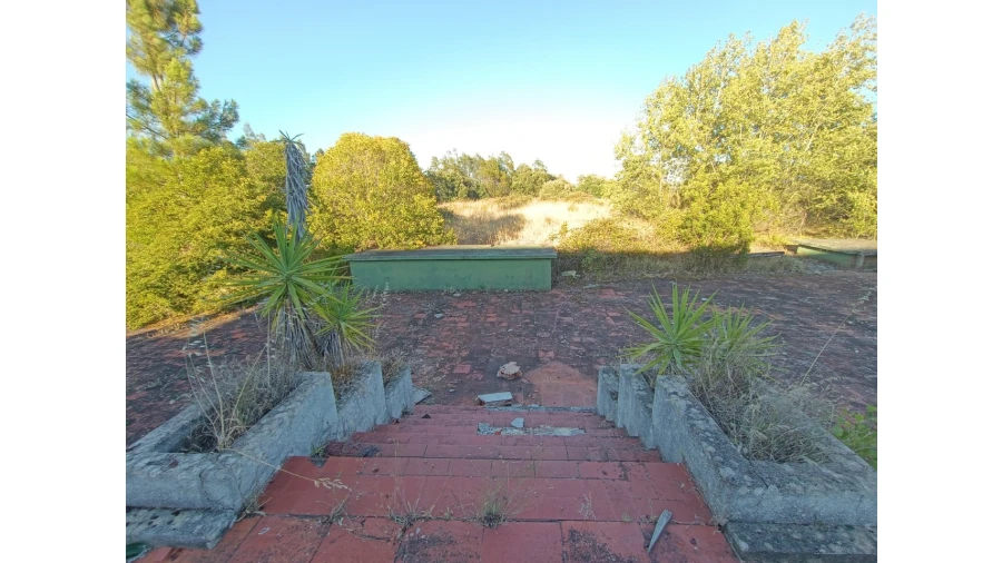 Prédio para Venda em São Miguel do Rio Torto e Rossio Ao Sul do Tejo Foto 22