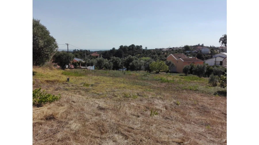Terreno para Venda em Carvalhal