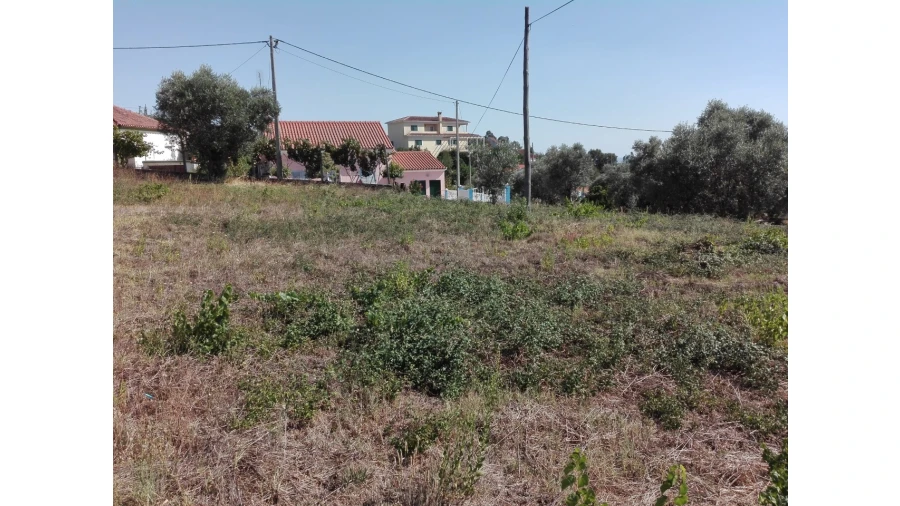 Terreno para Venda em Carvalhal Foto 4