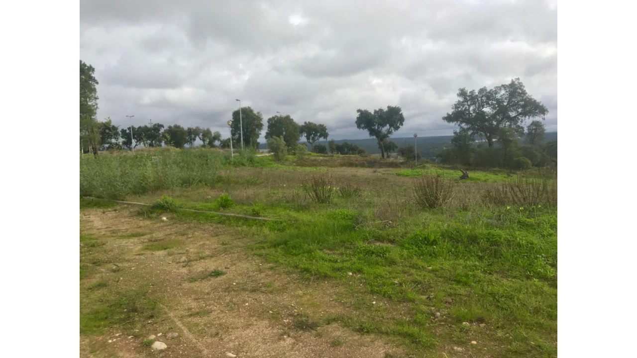Terreno para Venda em São Miguel do Rio Torto e Rossio Ao Sul do Tejo Foto 1