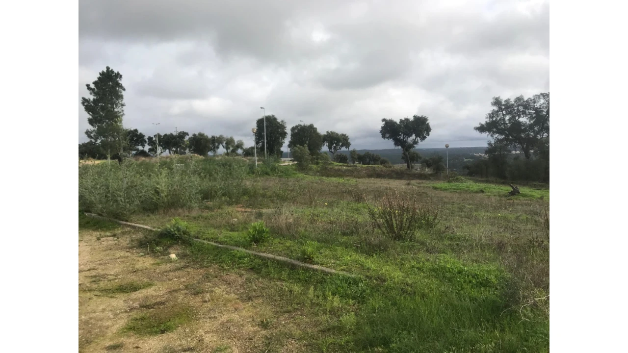Terreno para Venda em São Miguel do Rio Torto e Rossio Ao Sul do Tejo Foto 4