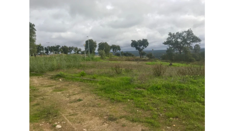 Terreno para Venda em São Miguel do Rio Torto e Rossio Ao Sul do Tejo Foto 1