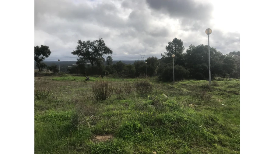 Terreno para Venda em São Miguel do Rio Torto e Rossio Ao Sul do Tejo Foto 2