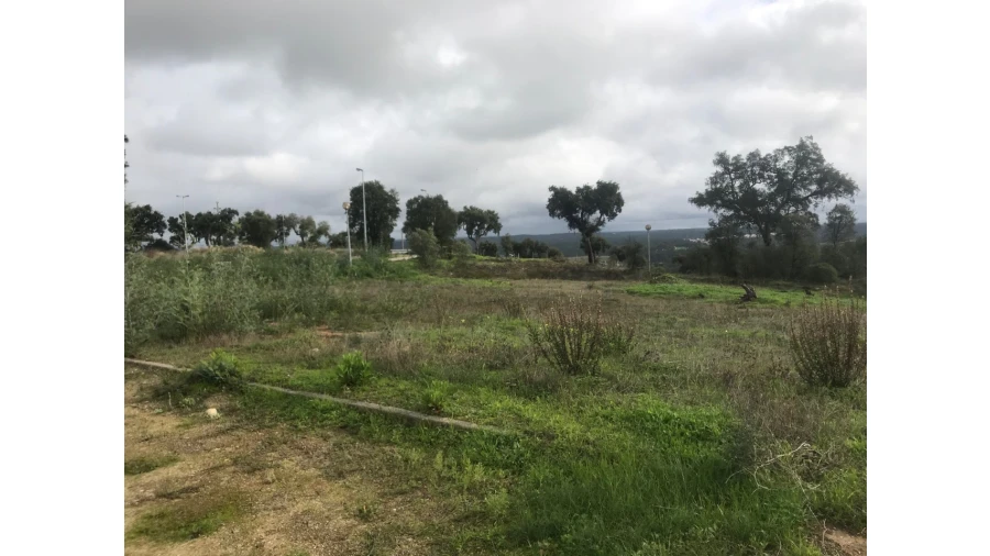 Terreno para Venda em São Miguel do Rio Torto e Rossio Ao Sul do Tejo Foto 5