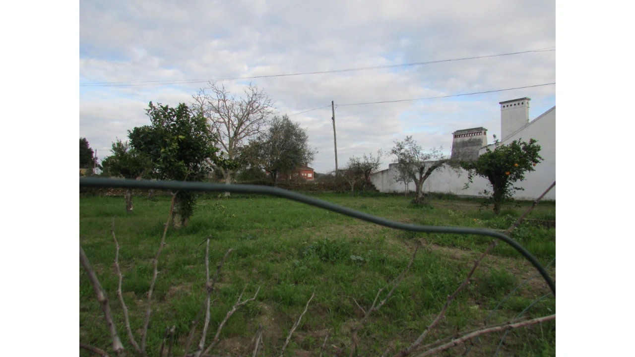 Terreno para Venda em Alvega e Concavada Foto 2