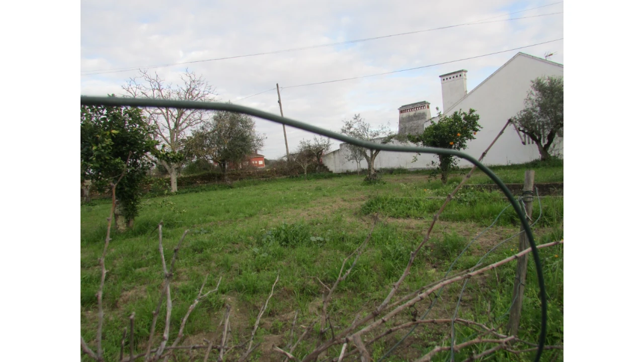 Terreno para Venda em Alvega e Concavada Foto 3