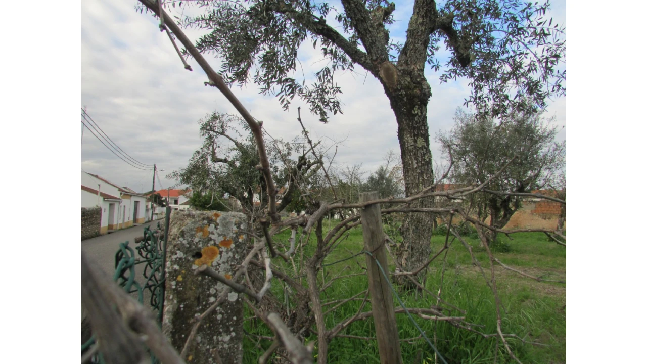 Terreno para Venda em Alvega e Concavada Foto 4