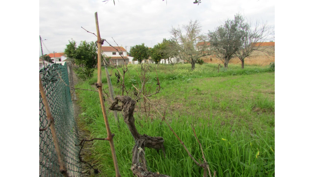 Terreno para Venda em Alvega e Concavada Foto 5