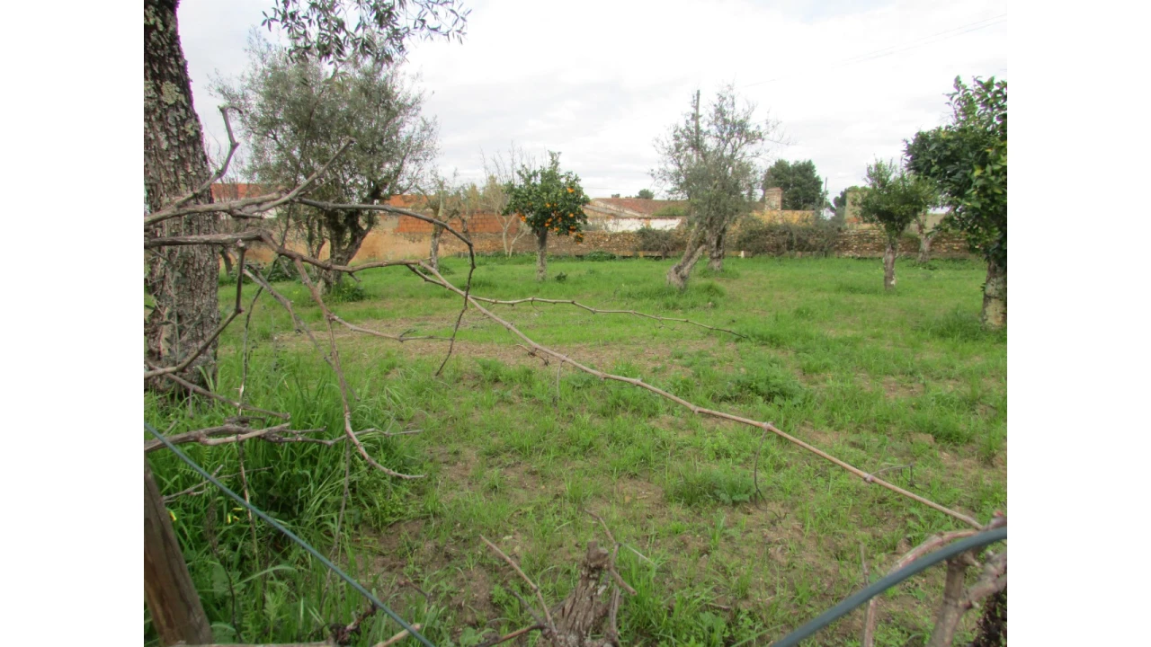Terreno para Venda em Alvega e Concavada Foto 1