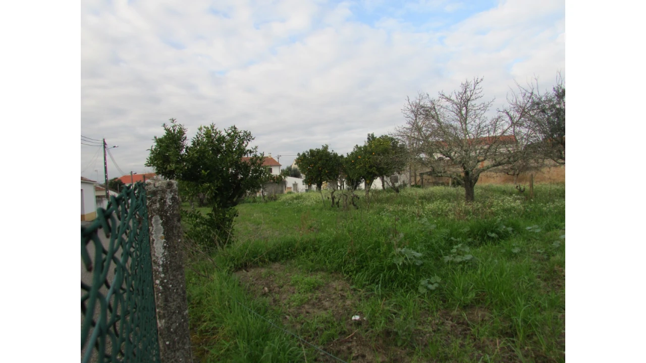 Terreno para Venda em Alvega e Concavada Foto 6