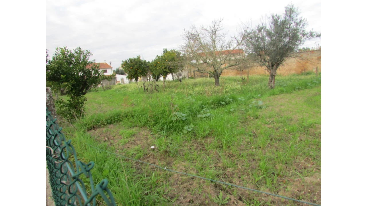 Terreno para Venda em Alvega e Concavada Foto 7