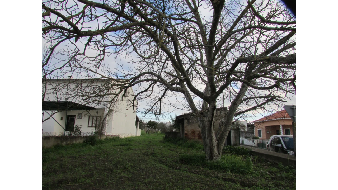 Terreno para Venda em Alvega e Concavada Foto 9