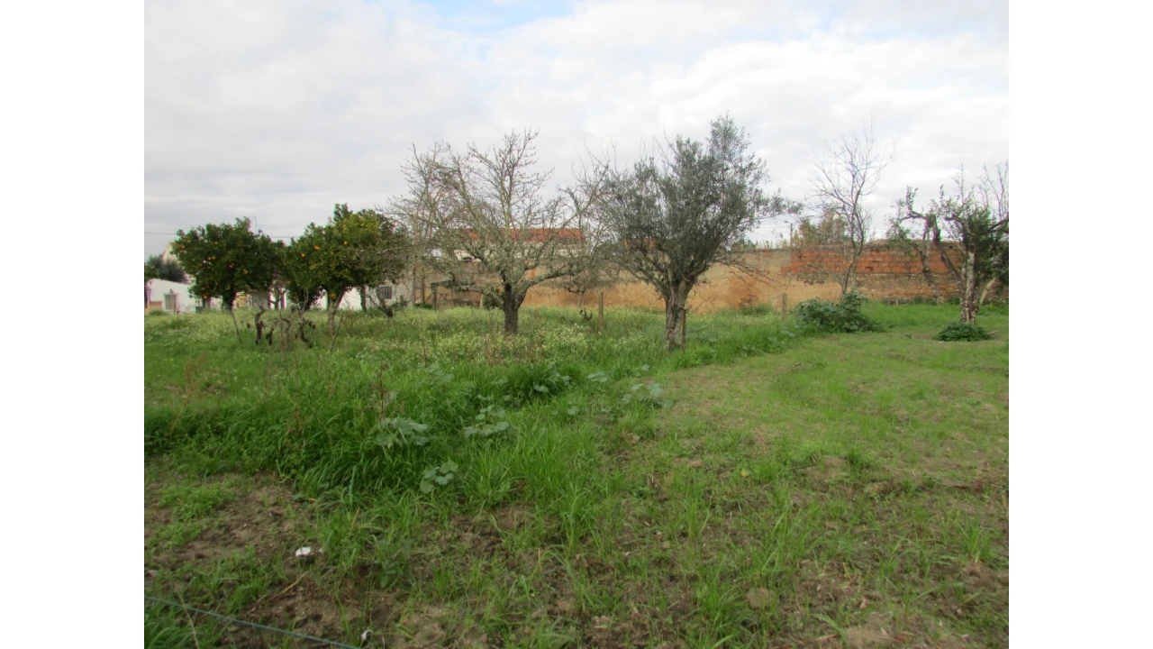 Terreno para Venda em Alvega e Concavada Foto 10