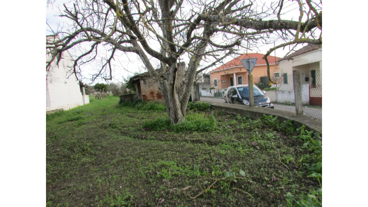 Terreno para Venda em Alvega e Concavada Foto 12