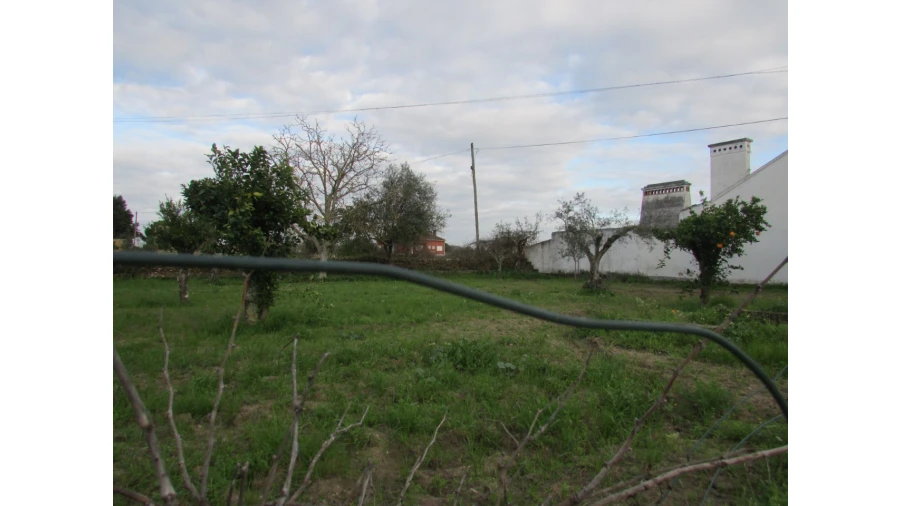 Terreno para Venda em Alvega e Concavada Foto 2