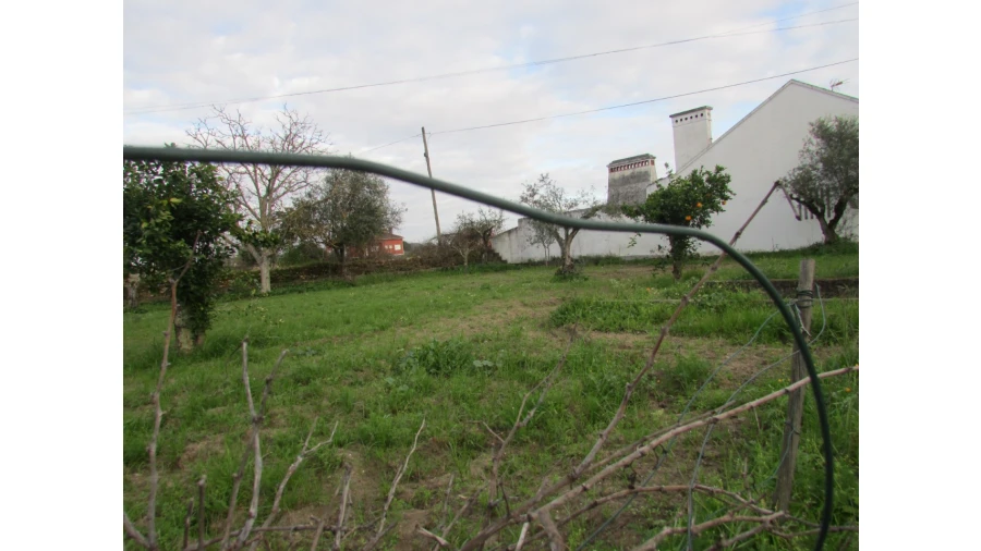 Terreno para Venda em Alvega e Concavada Foto 3