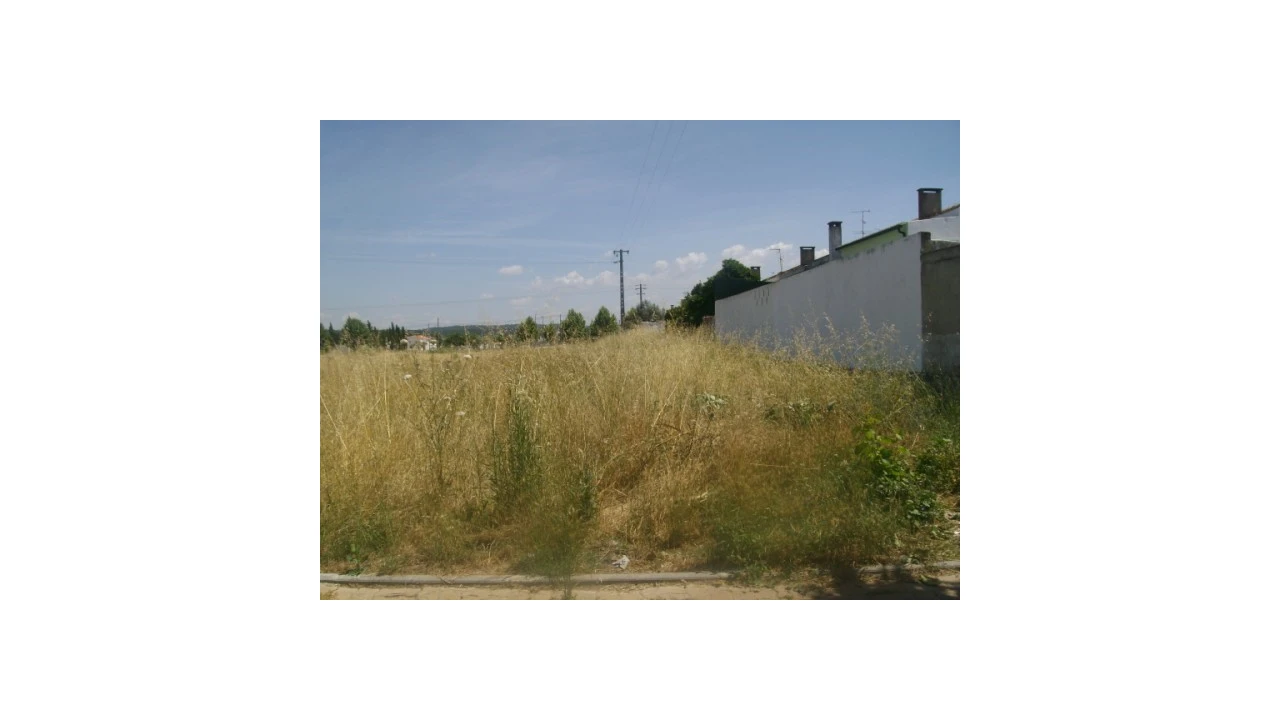 Terreno para Venda em São Miguel do Rio Torto e Rossio Ao Sul do Tejo Foto 2